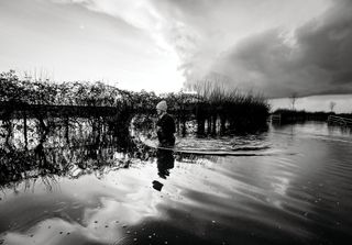 Somerset Moors and Levels