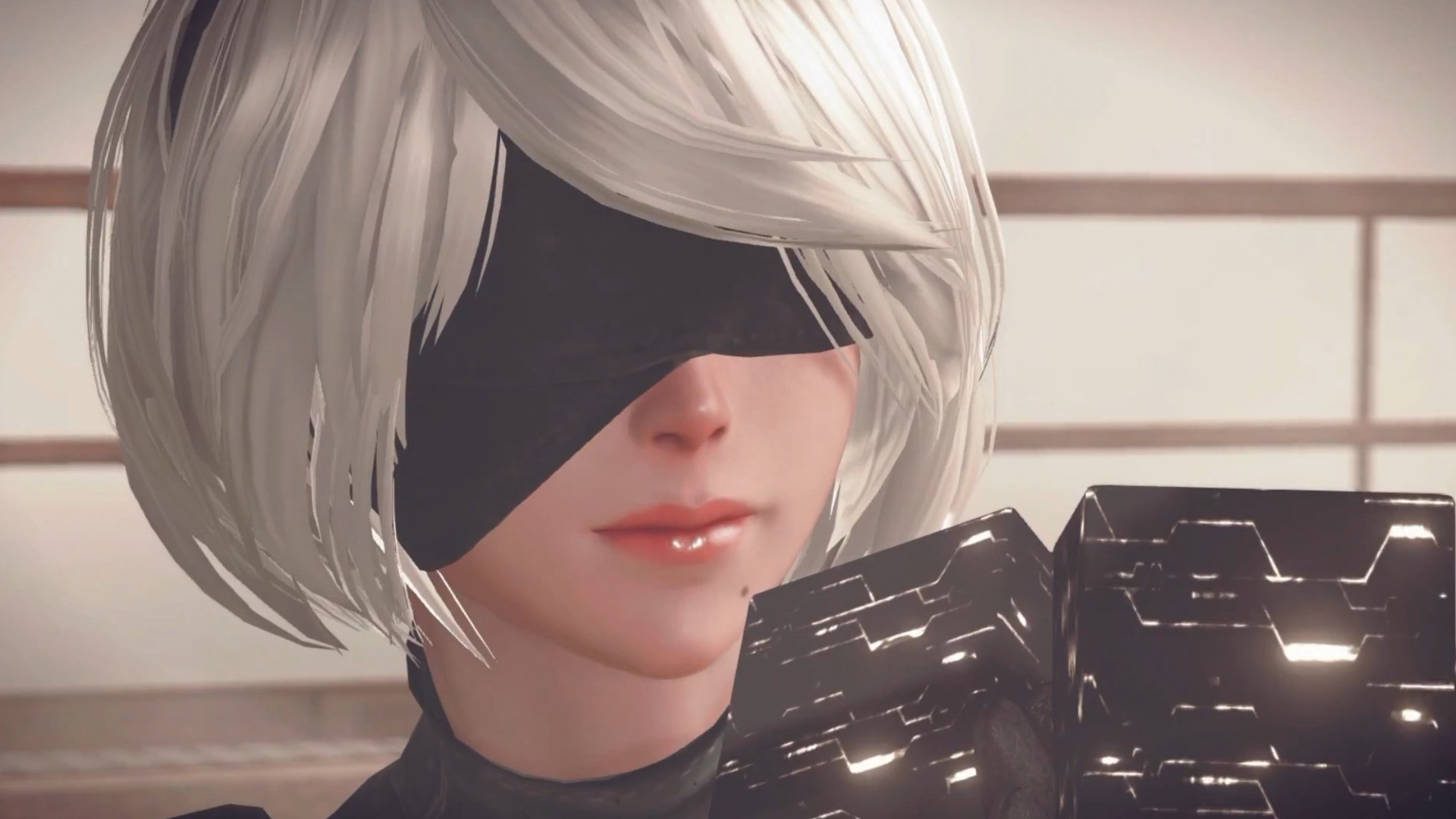 2B in Nier Automata