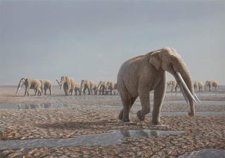 A reconstruction of the <em>Stegotetrabelodon syrticus</em> herd that likely made the tracks in the Arabian Desert.