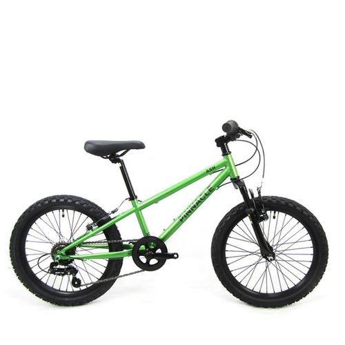 Trail 20-Inch Kids Bike