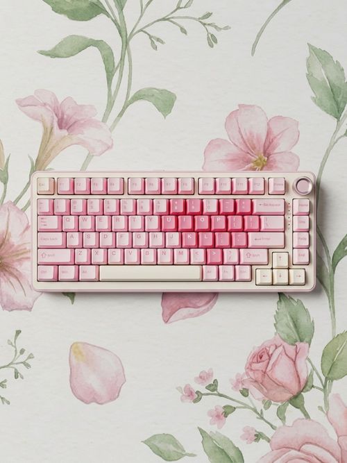 B75 Pro Wireless Mechanical Keyboard