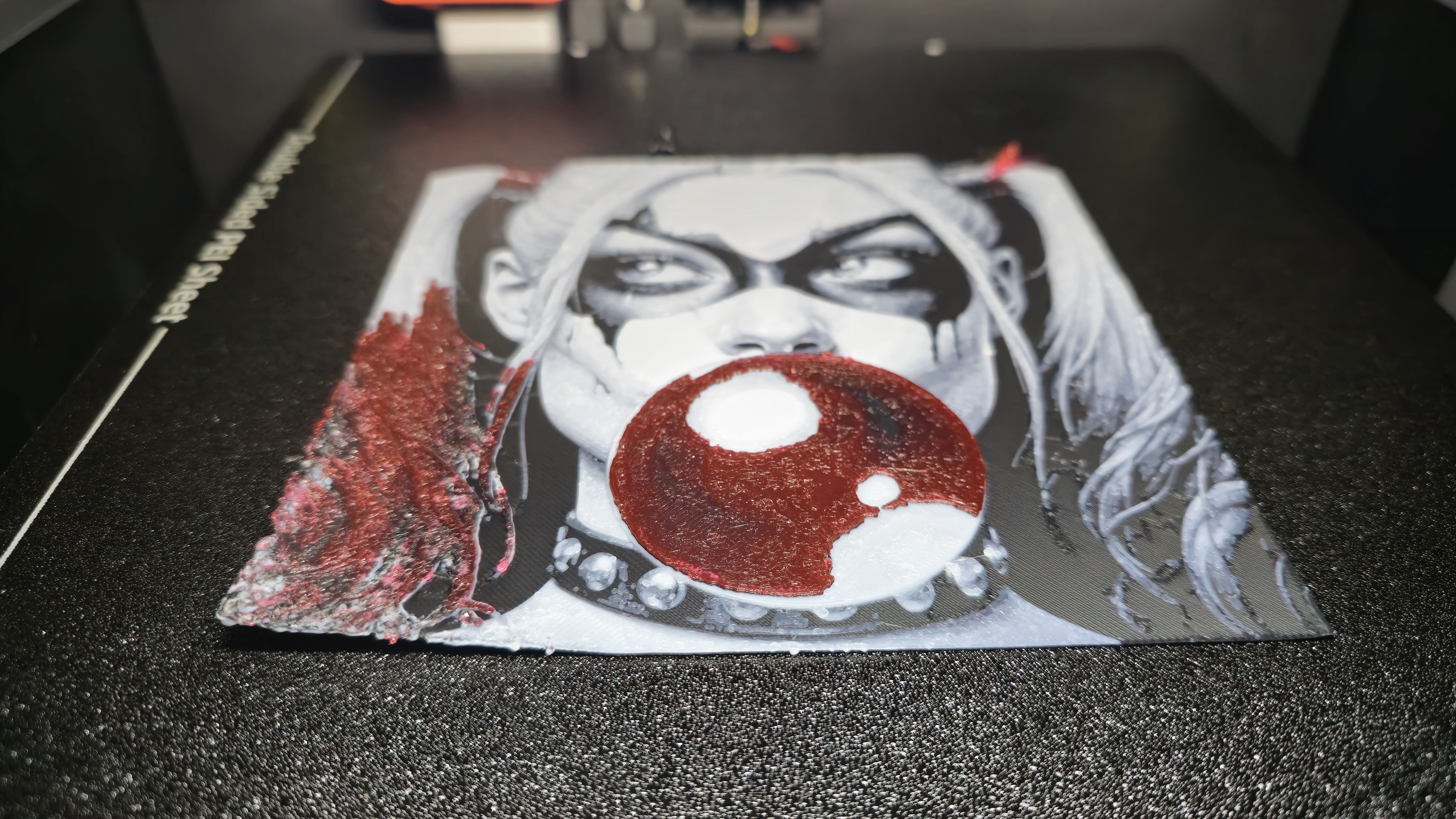 Anycubic Kobra S1 Combo review