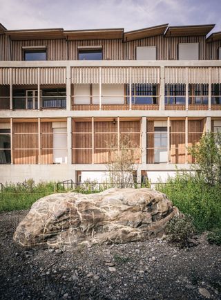 Herzog& de Meuron Children's Hospital in Zurich timber building interior and exterior engulfed in foliage