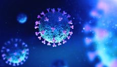 SARS-CoV-2 particles.