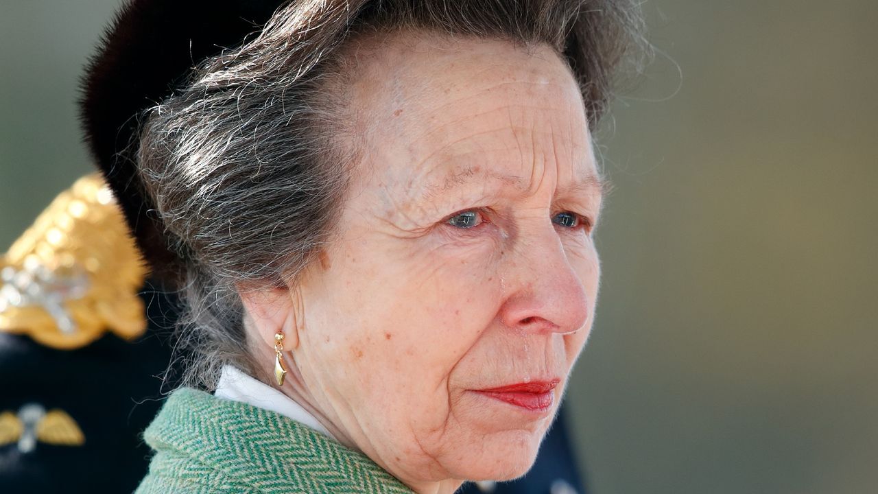 Princess Anne&#039;s dog alleged to have been involved in incident. Seen here the Princess Royal represents Her Majesty The Queen as the Reviewing Officer during The Sovereign&#039;s Parade