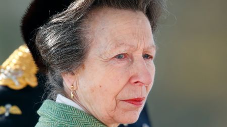 Princess Anne's dog alleged to have been involved in incident. Seen here the Princess Royal represents Her Majesty The Queen as the Reviewing Officer during The Sovereign's Parade