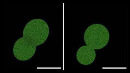 Two black boxes with green circles in them, slowly separating.