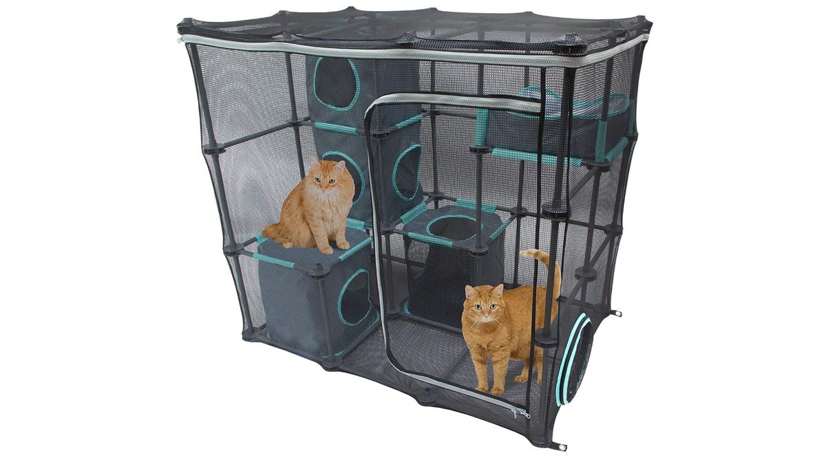 Best Outdoor Cat Enclosures 2024 Let Your Feline Explore Nature Safely   RRRhMj2zppXUd38tQfg4H4 1200 80 