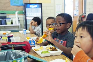 school lunch