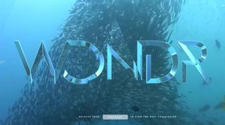 WONDR.io’s cinema-style graphics and video deliver the wonder its name suggests