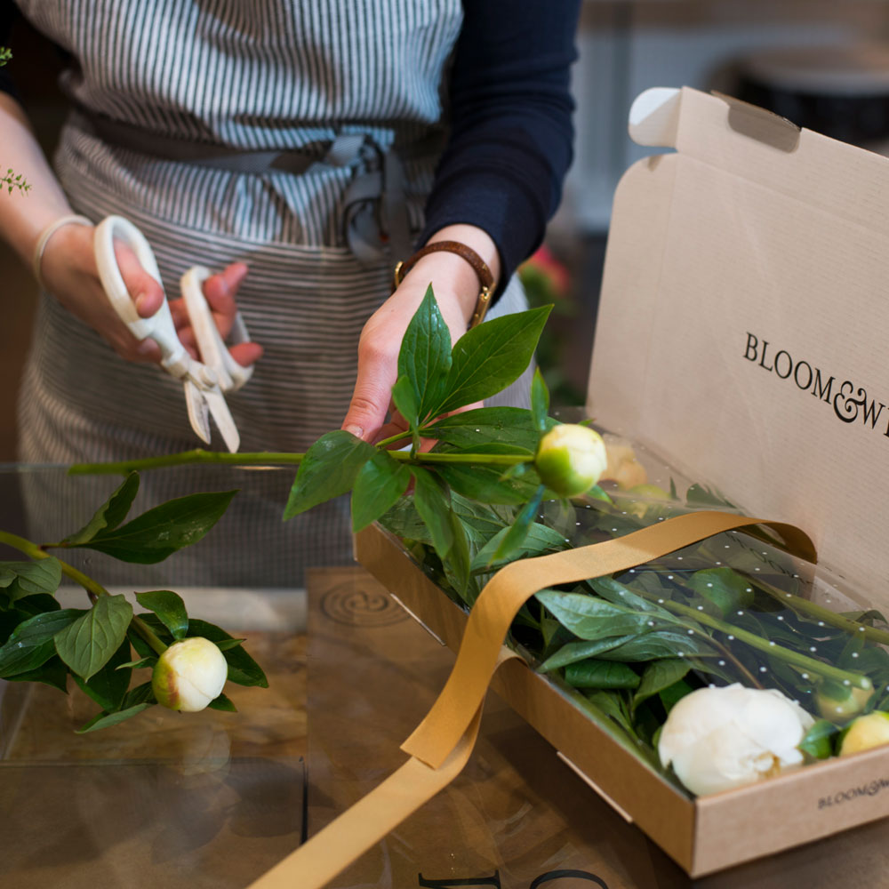 girl cutting white flower stems