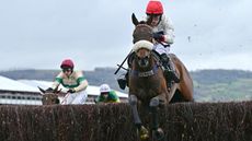 David Bass riding Chianti Classico en-route to winning n the way to winning the Ultima Handicap Chase at the 2024 Cheltenham Festival