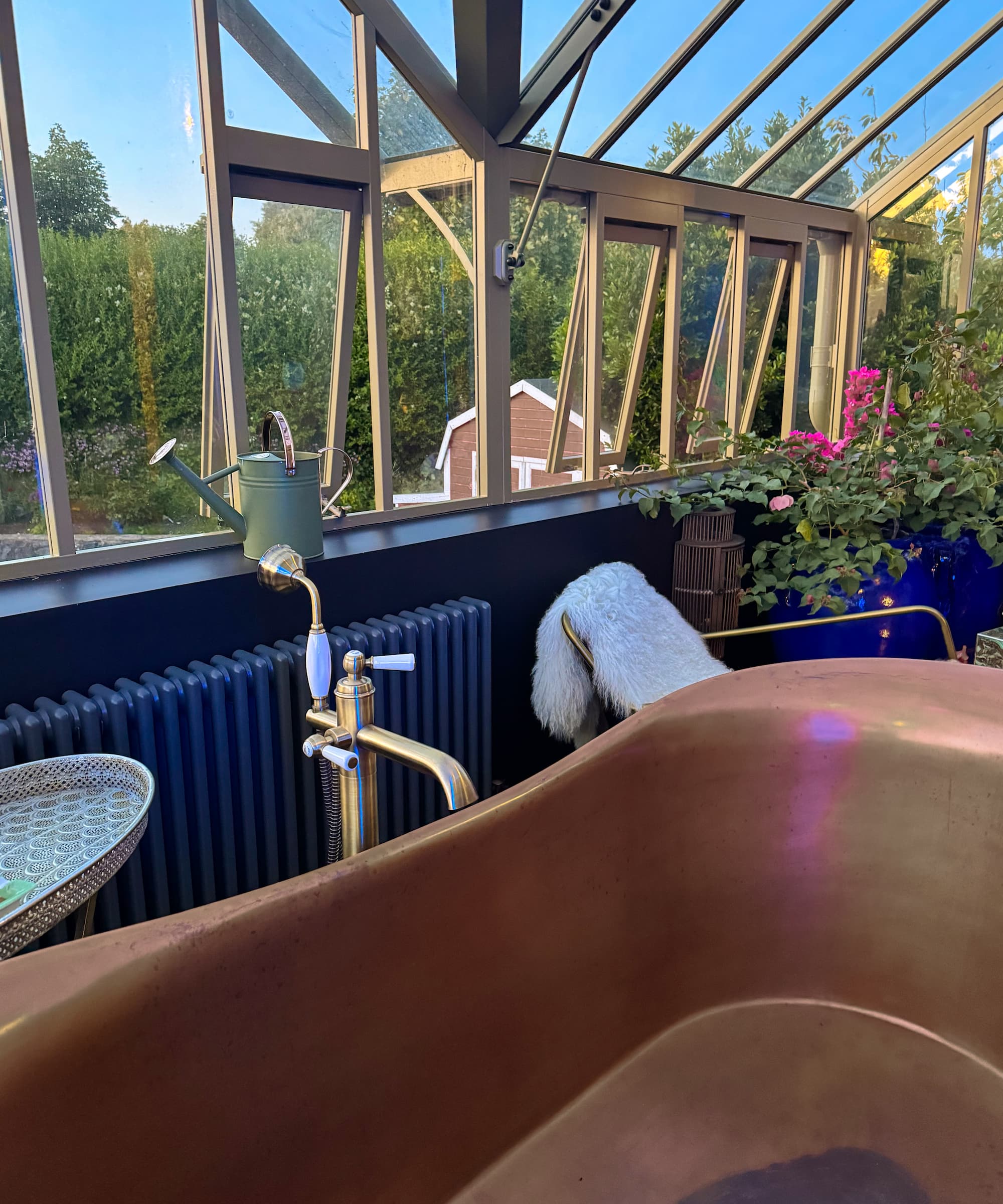 A brass bath in a greenhouse with blue walls