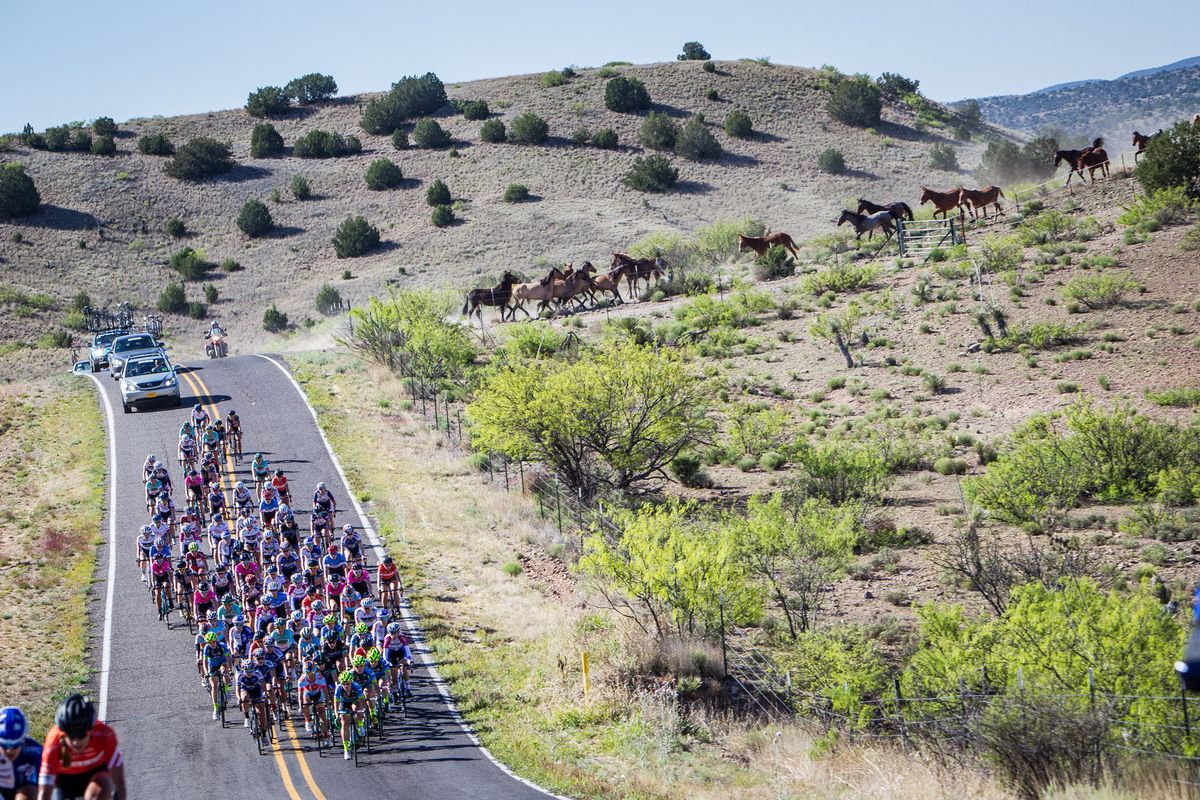 Horses check out the womens peloton during the Tour of the Gila.