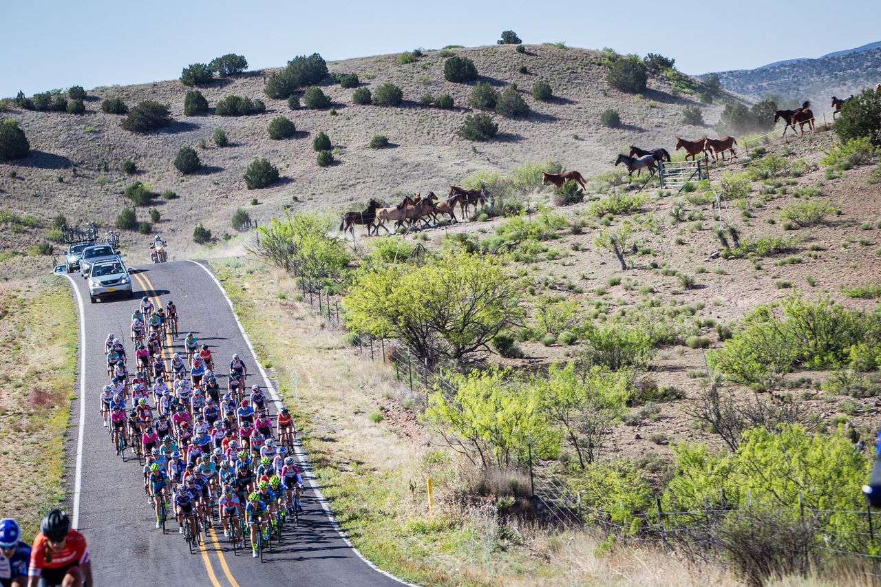 Horses check out the womens peloton during the Tour of the Gila.