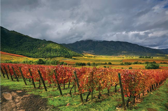 Clos Apalta Vineyard