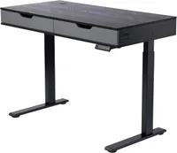 Realspace Smart Electric Standing Desk
