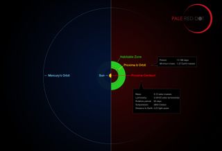 This infographic compares the orbit of the planet Proxima b around the star Proxima Centauri with the same-sized region of our Solar System.