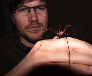 Researcher Peter Michalik of the University of Greifswald holds a Tasmanian cave spider.