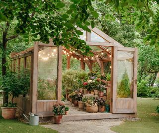 Solar lights in a greenhouse