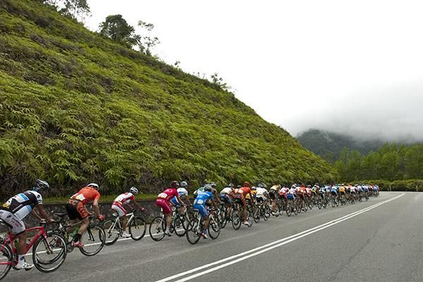 The peloton head towards the top of Cameron Highlands where some rain was closing in.