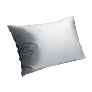 picture of 100% Silk Pillowcase