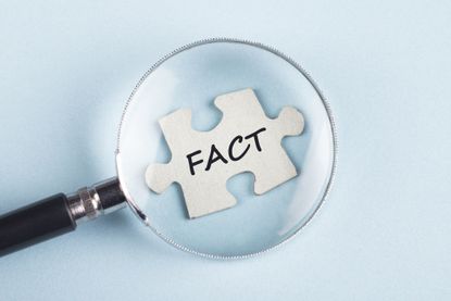 image of a maginifying glass over a puzzle piece with the word fact on it