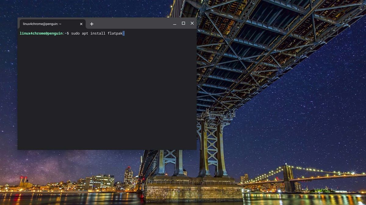 How to install Linux apps on your Chromebook | Laptop Mag