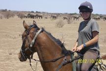 Harriet-walker-mobile-safari.jpg