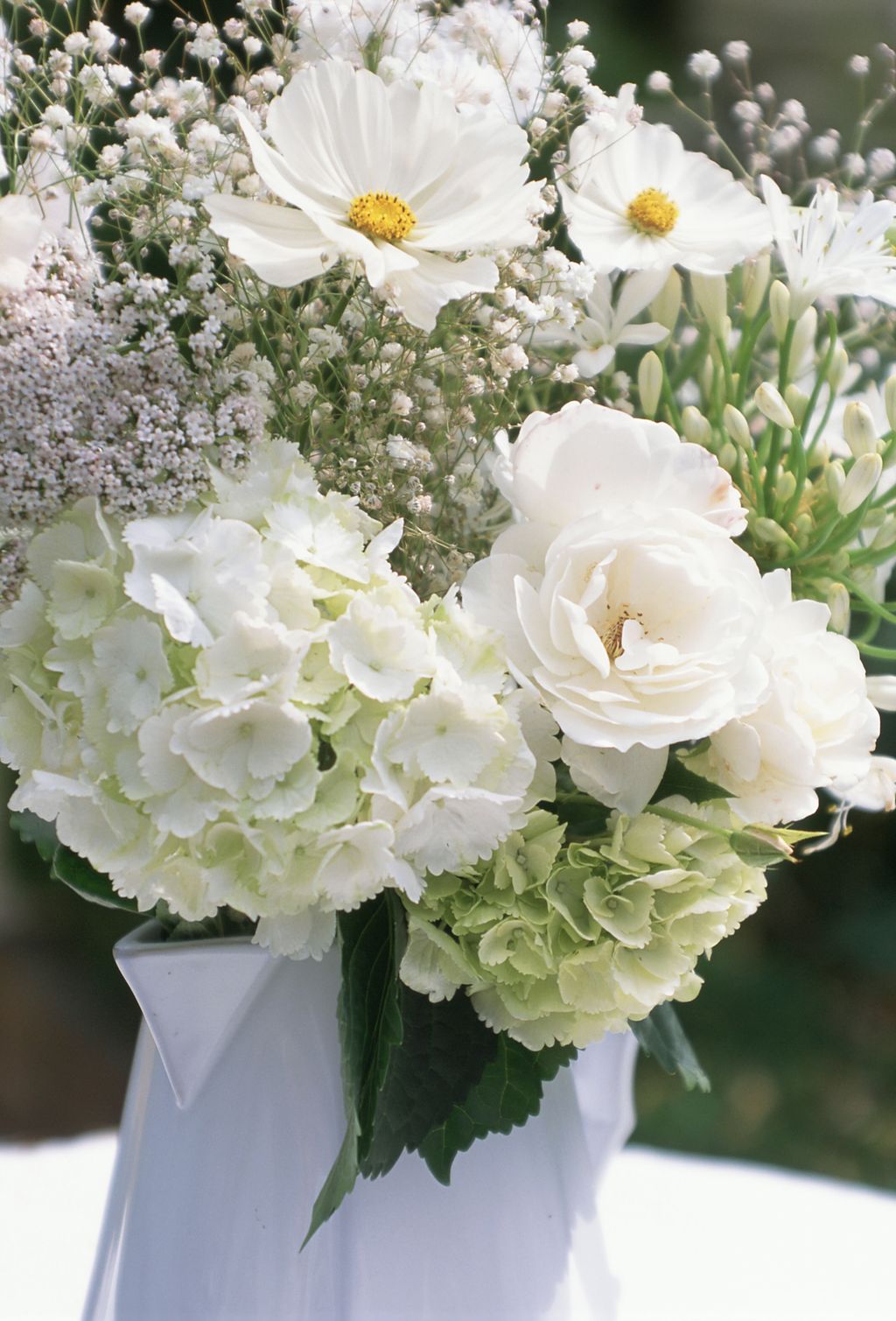 How to grow hydrangeas Gardeningetc