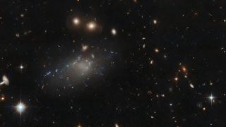 GAMA 526784 is a diffuse galaxy, imaged here by the Hubble Space Telescope.