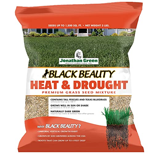 Jonathan Green (10514) Black Beauty Heat &amp;amp; Drought Resistant Grass Seed - Cool Season Lawn Seed (3 Lb)