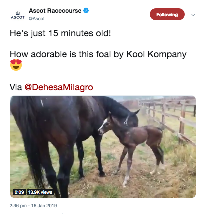 Kool-Kompany.png