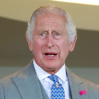 King Charles has gray hair and looks shocked while wearing a gray suit with a white shirt and a blue checked tie