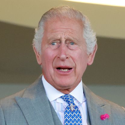 King Charles has gray hair and looks shocked while wearing a gray suit with a white shirt and a blue checked tie