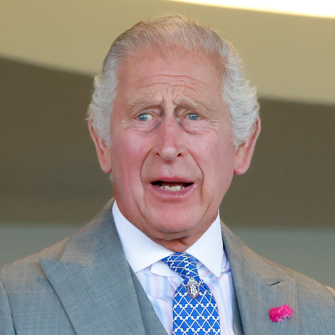 King Charles has gray hair and looks shocked while wearing a gray suit with a white shirt and a blue checked tie