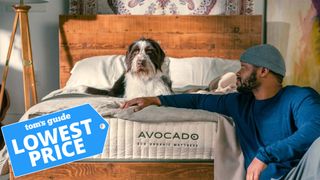 Man sat on the floor, next to an Avocado Green mattress with a dog on it, with Lowest Price flag overlaid