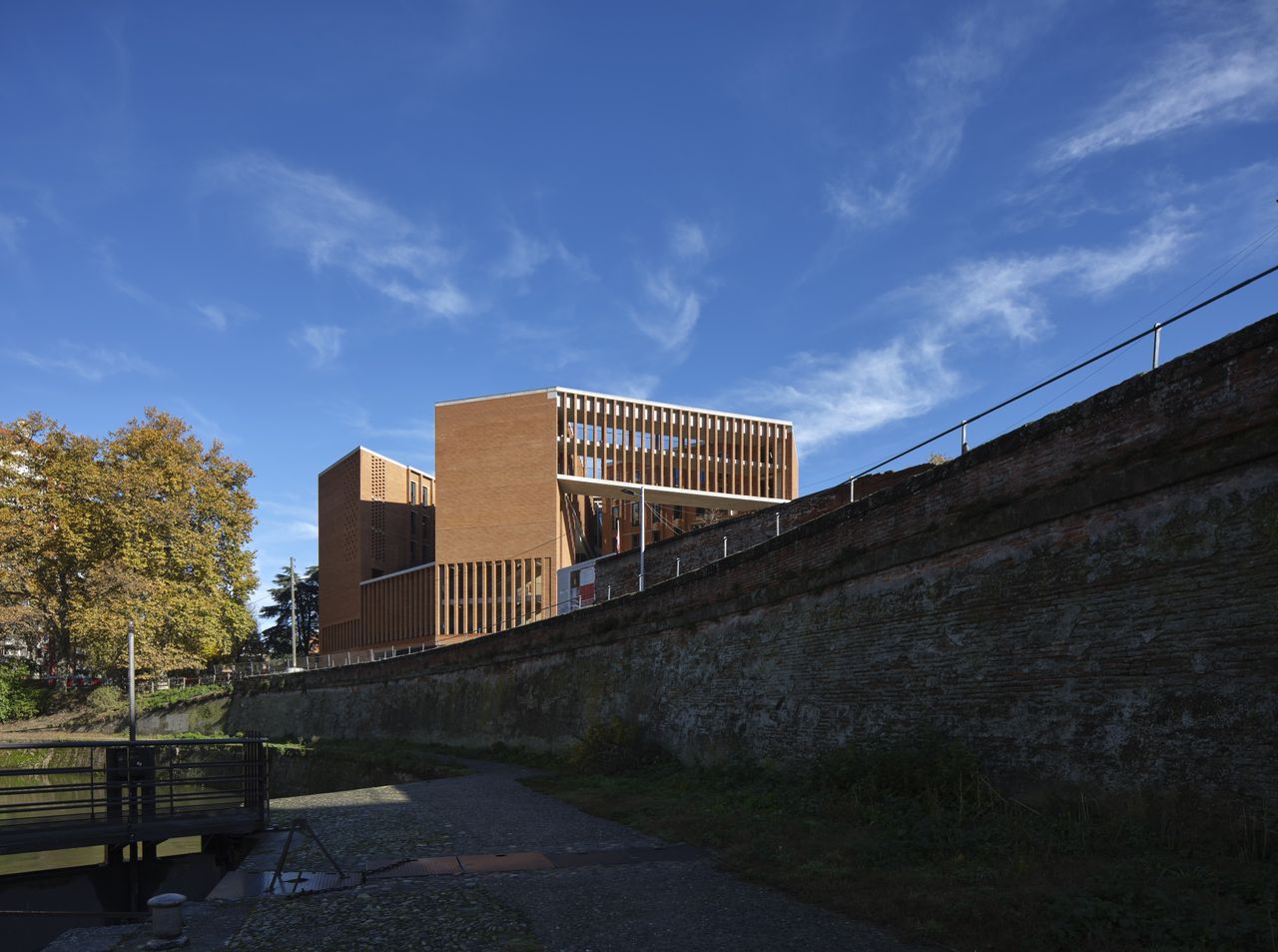 toulouse university grafton