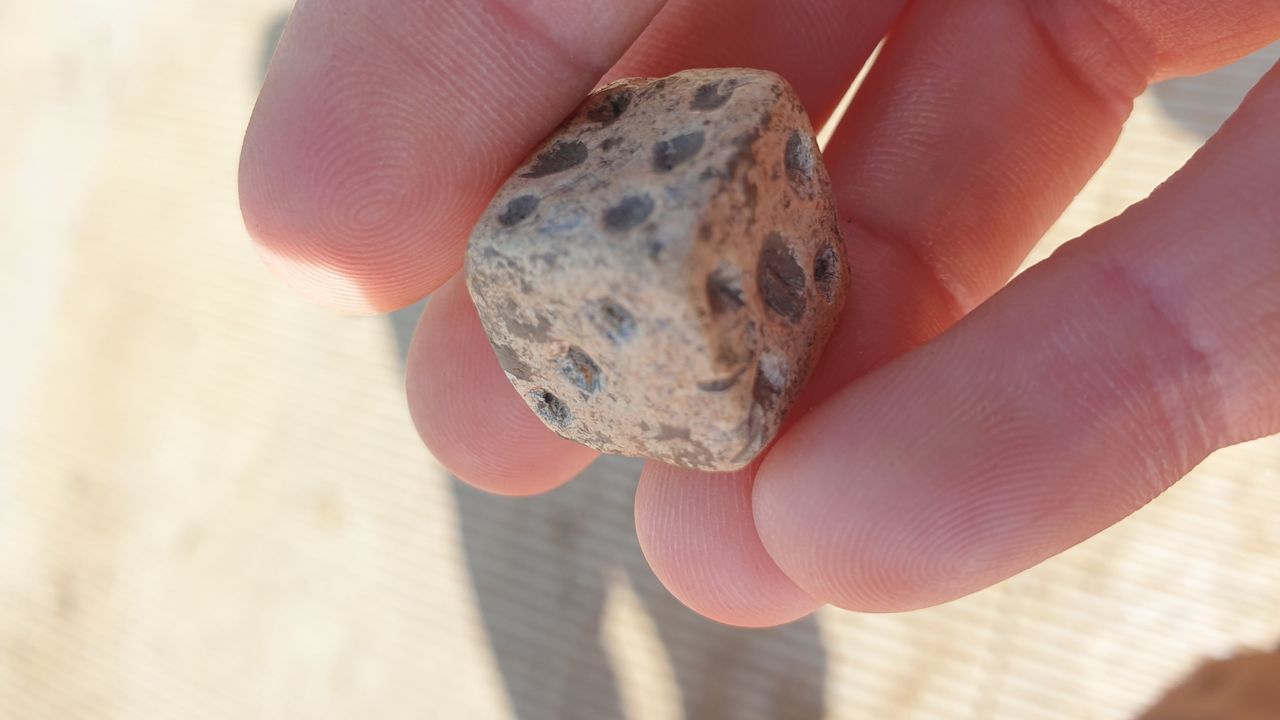 A gaming dice found at the site.
