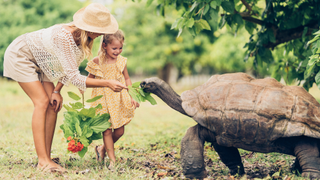 Mother and daughter feeding giant tortoise at Four Seasons Desroches Island.