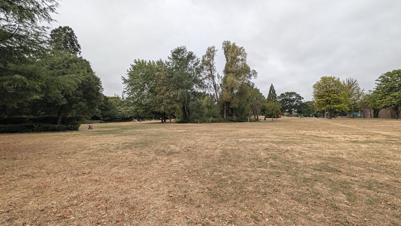 Google Pixel 11 Pro review sample image &ndash;&nbsp;ultrawide