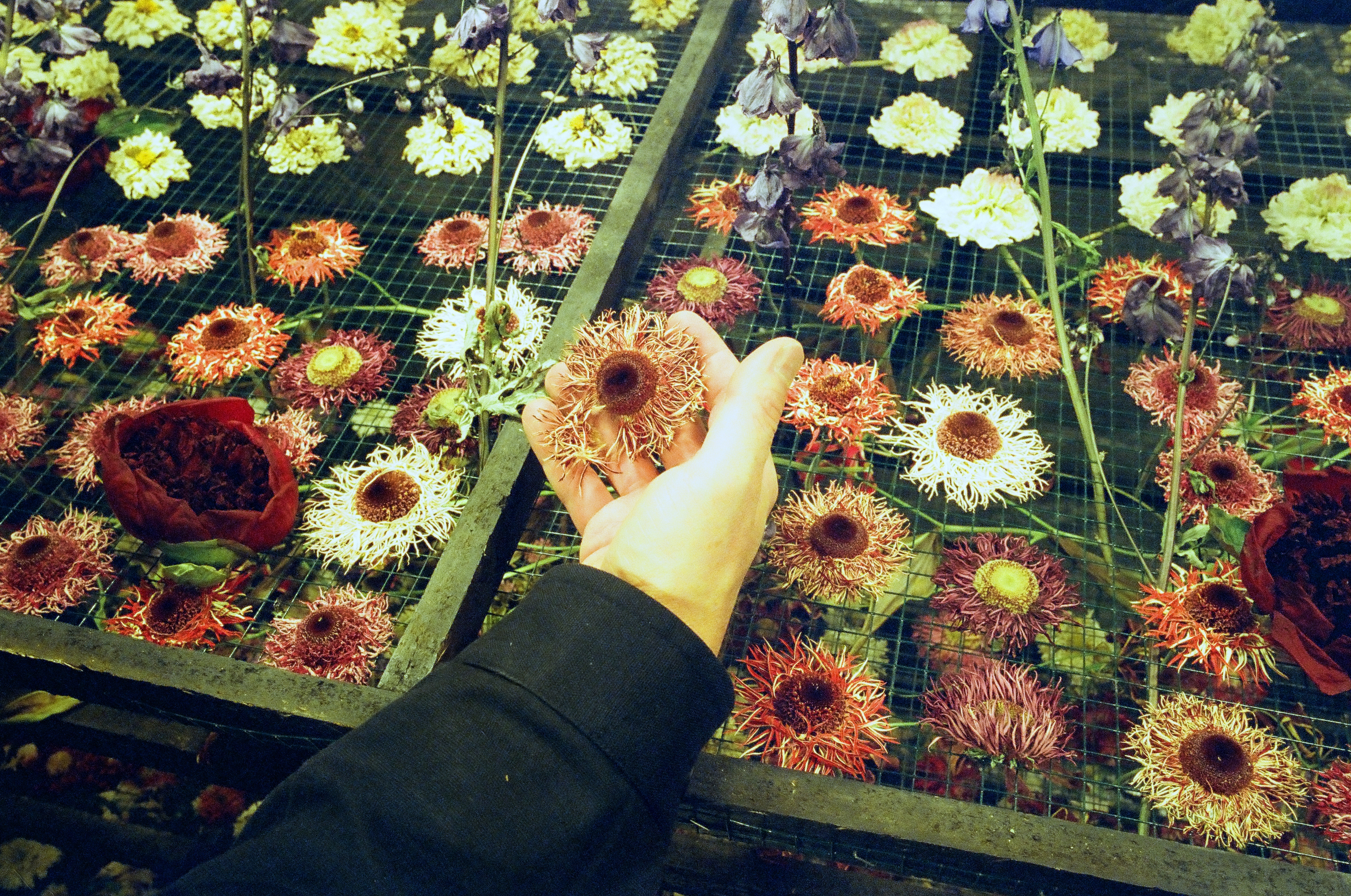 Marcin Rusak from wallpaper&#039;s film &#039;work in process&#039;