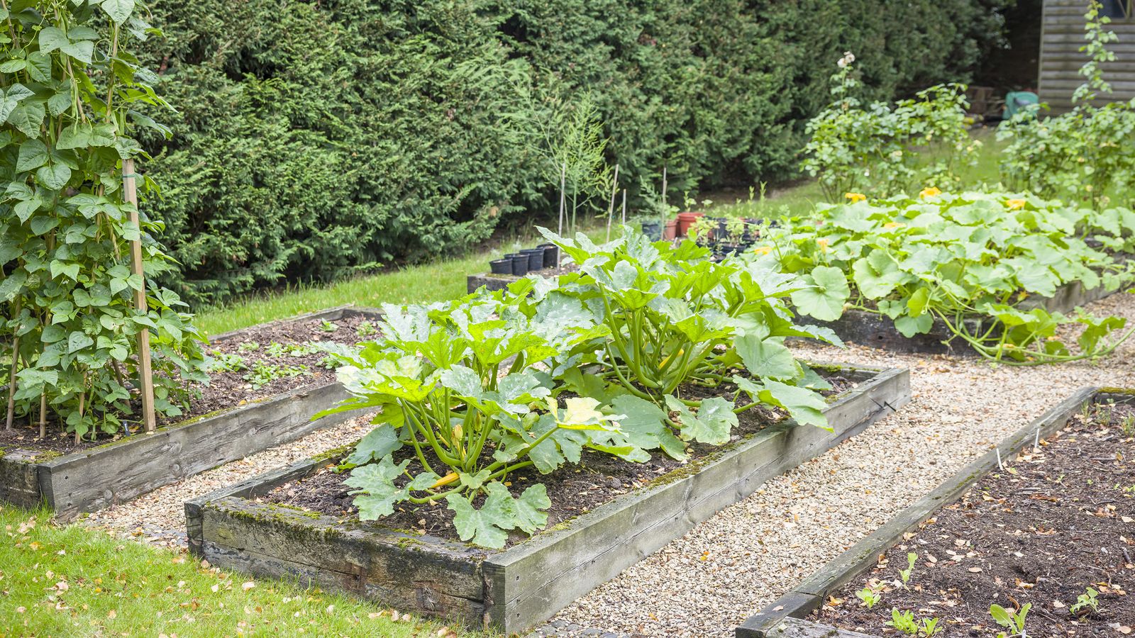 Hillside Garden Beds – Creating Raised Beds On Sloped Ground ...