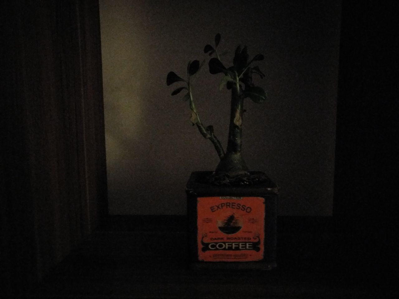 Photographing a fixed subject with the Nubia Z11 in very low light.