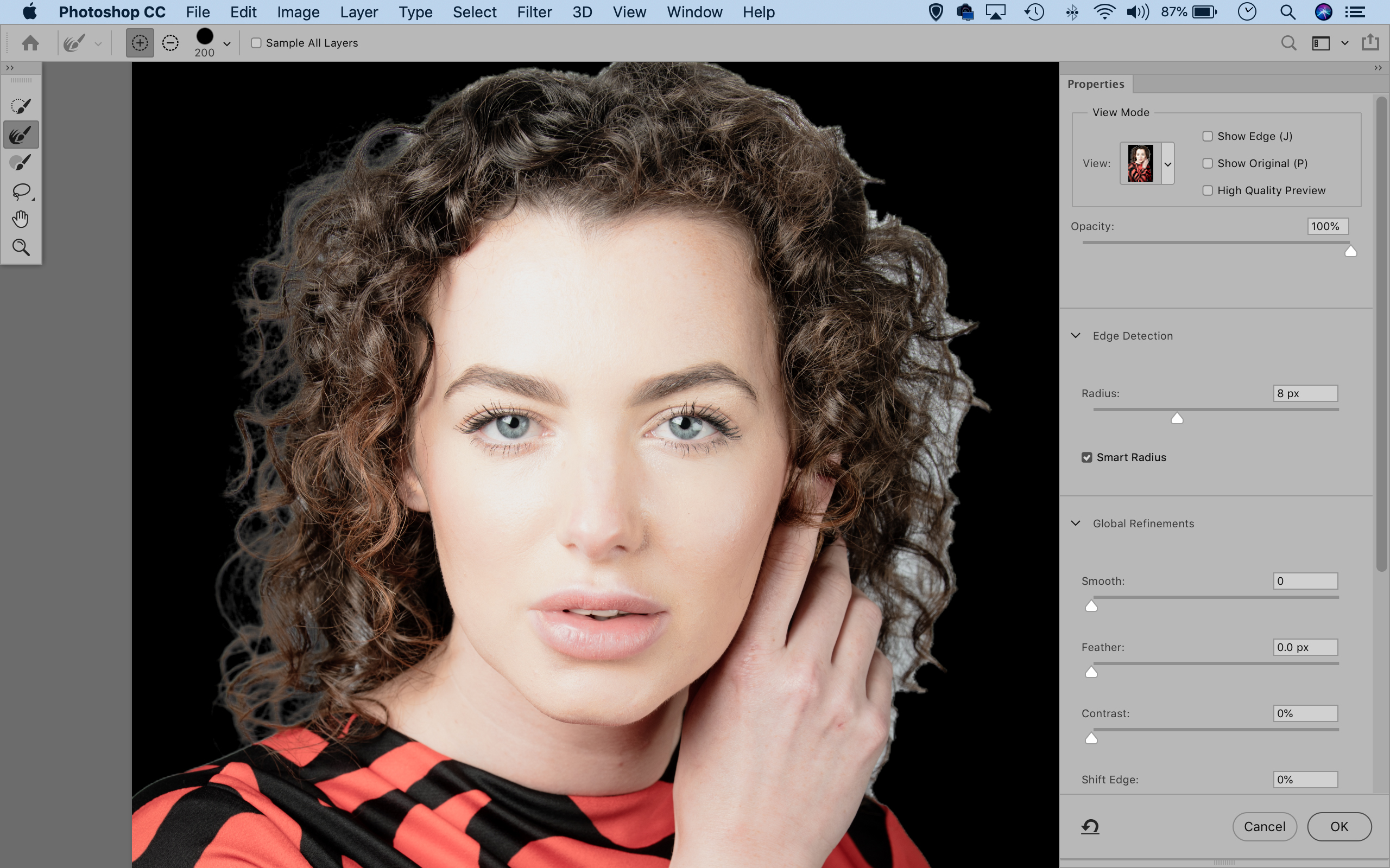 Cut out hair in Photoshop select hair