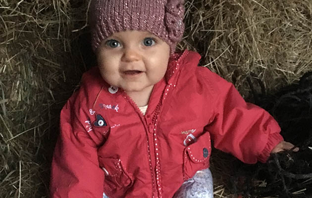 hayhelper
