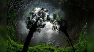 Las plantas crecen en el fondo de este cráter kárstico gigante, también llamado Tianqing, en la aldea de Luoquanian, condado de Xuanyin, provincia de Hubei, en el centro de China.  Este no es el cráter descubierto en la Región Autónoma Zhuang de Guangxi.