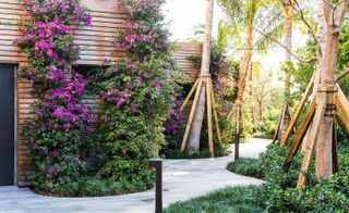 Landscape architect Enzo Enea garden on Miami's waterfront