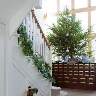 festive entrance hall with christmas tree