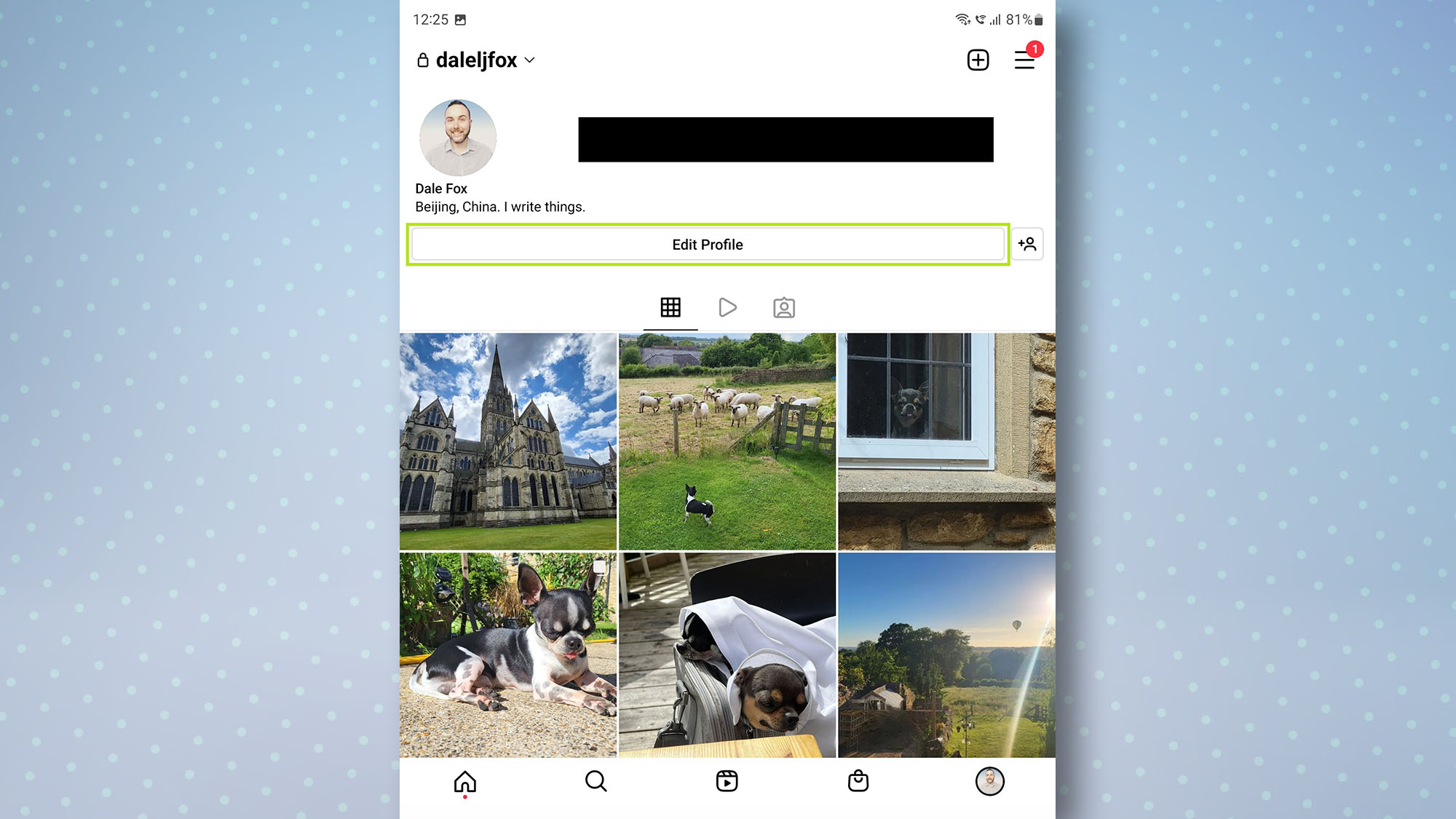 Instagram Android App